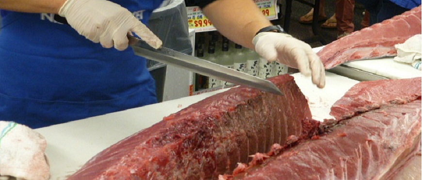 Tuna Dismantling Show