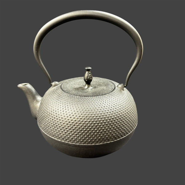 TETSUBIN CAST IRON KETTLE - NAMBU TEKKI ARARE No.9