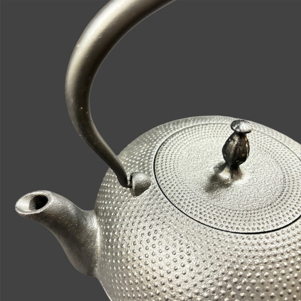 TETSUBIN CAST IRON KETTLE - NAMBU TEKKI ARARE No.9