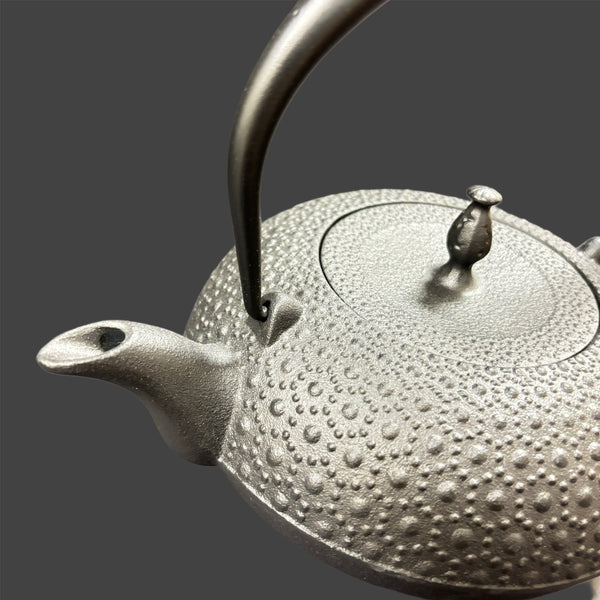 TETSUBIN CAST IRON KETTLE - NAMBU TEKKI TOUN KIKOU IL